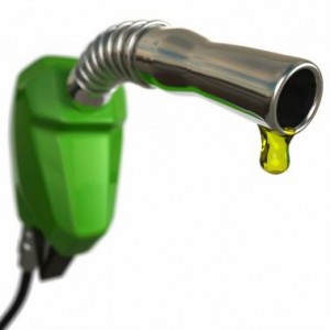 Calls for Government to Update their Fuel Stock Policies
