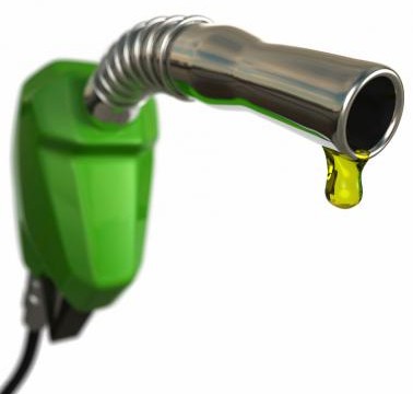Calls for Government to Update their Fuel Stock Policies