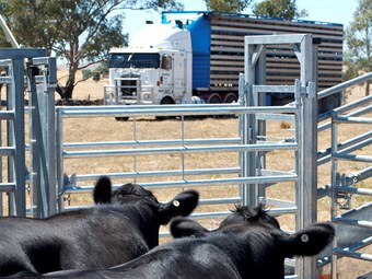 A work diary exemption for livestock transport drivers in Victoria will be introduced on October 5.